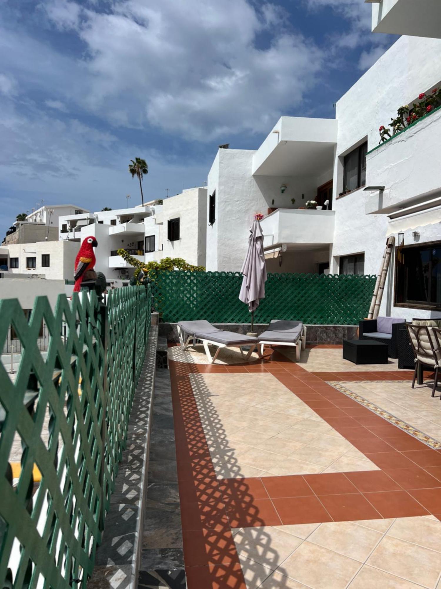 Lovely Apartment 2 Rooms With Big Terrace In Puerto Rico Puerto Rico  Dış mekan fotoğraf